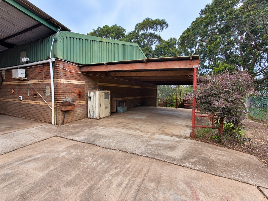 To Let Commercial Property for Rent in Meisies Halt Eastern Cape